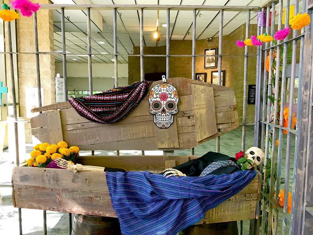 A skeleton is in a coffin at the Dia de los Muertos event at Continuing Education