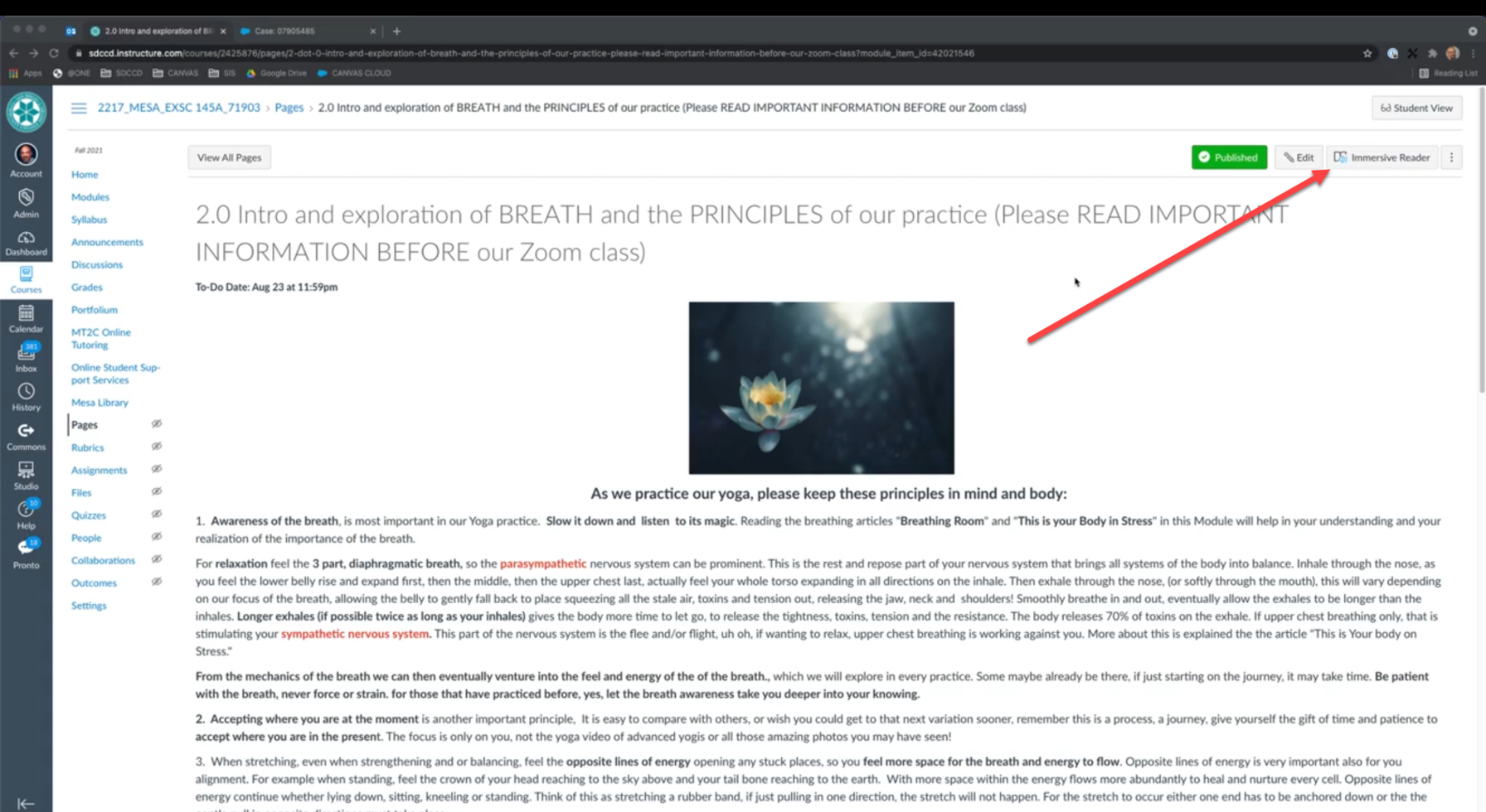 A screenshot of a Canvas Content Page pointing to the Immersive Reader Feature