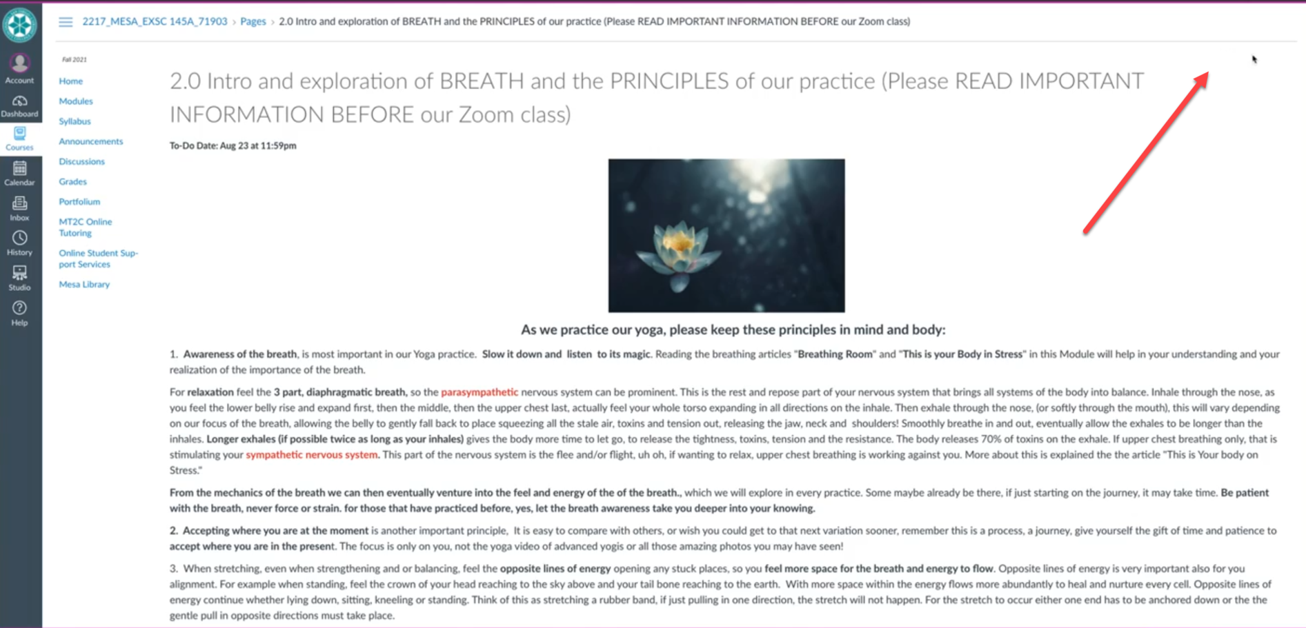 Screenshot of Student View showcasing the missing Immersive Reader Feature.