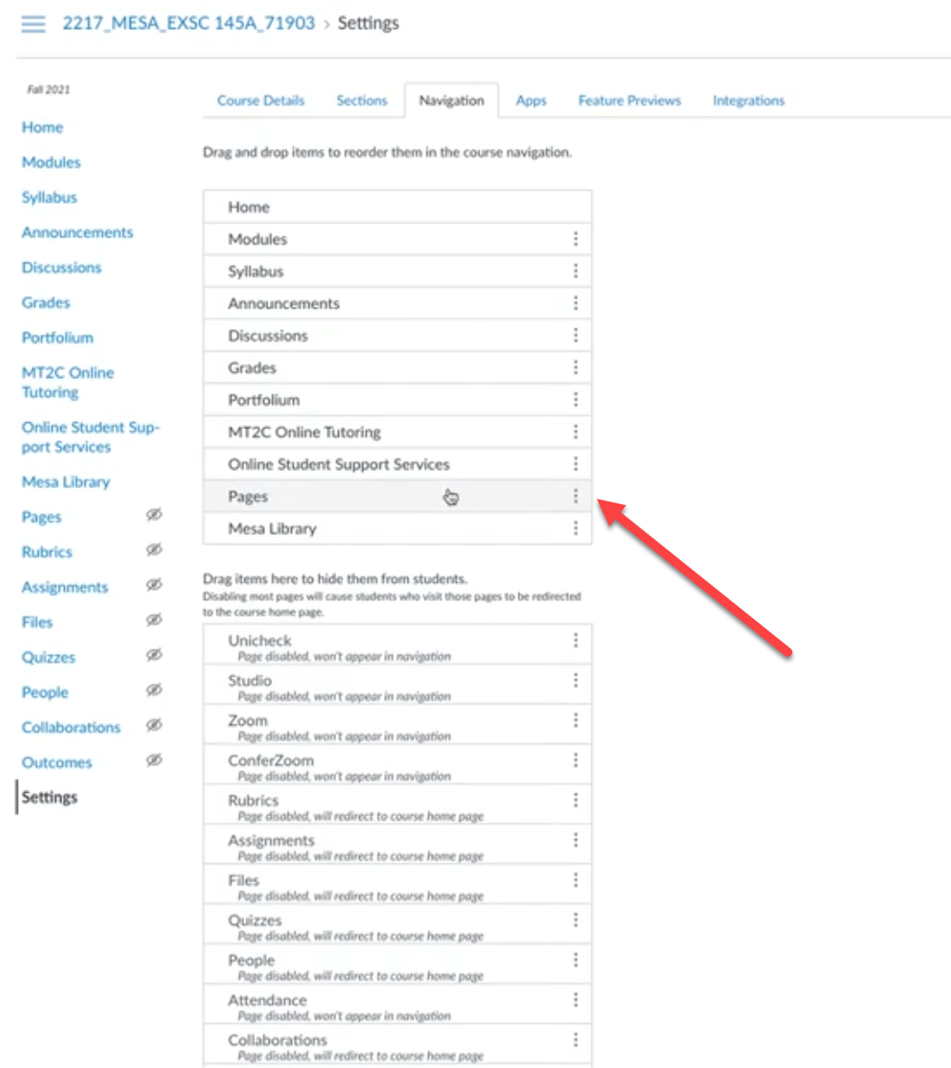Screenshow showing "Pages" in the top box of the Navigation Menu Setting.