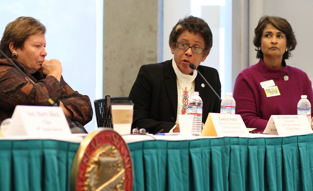 Chancellor Constance M. Carroll speaks at the hearing on the baccalaureate pilot program