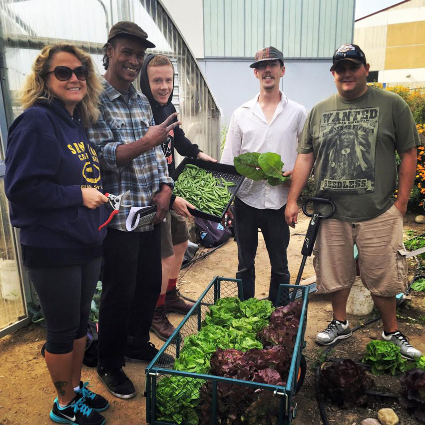 San Diego City College urban farm.