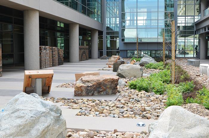 A geo garden at San Diego Mesa College