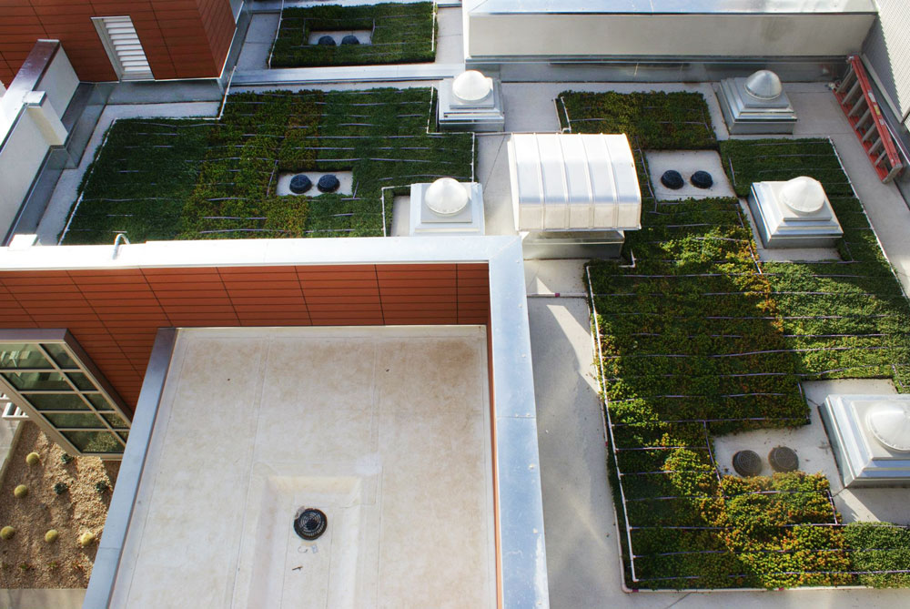 A rooftop garden at San Diego Miramar College’s police station.