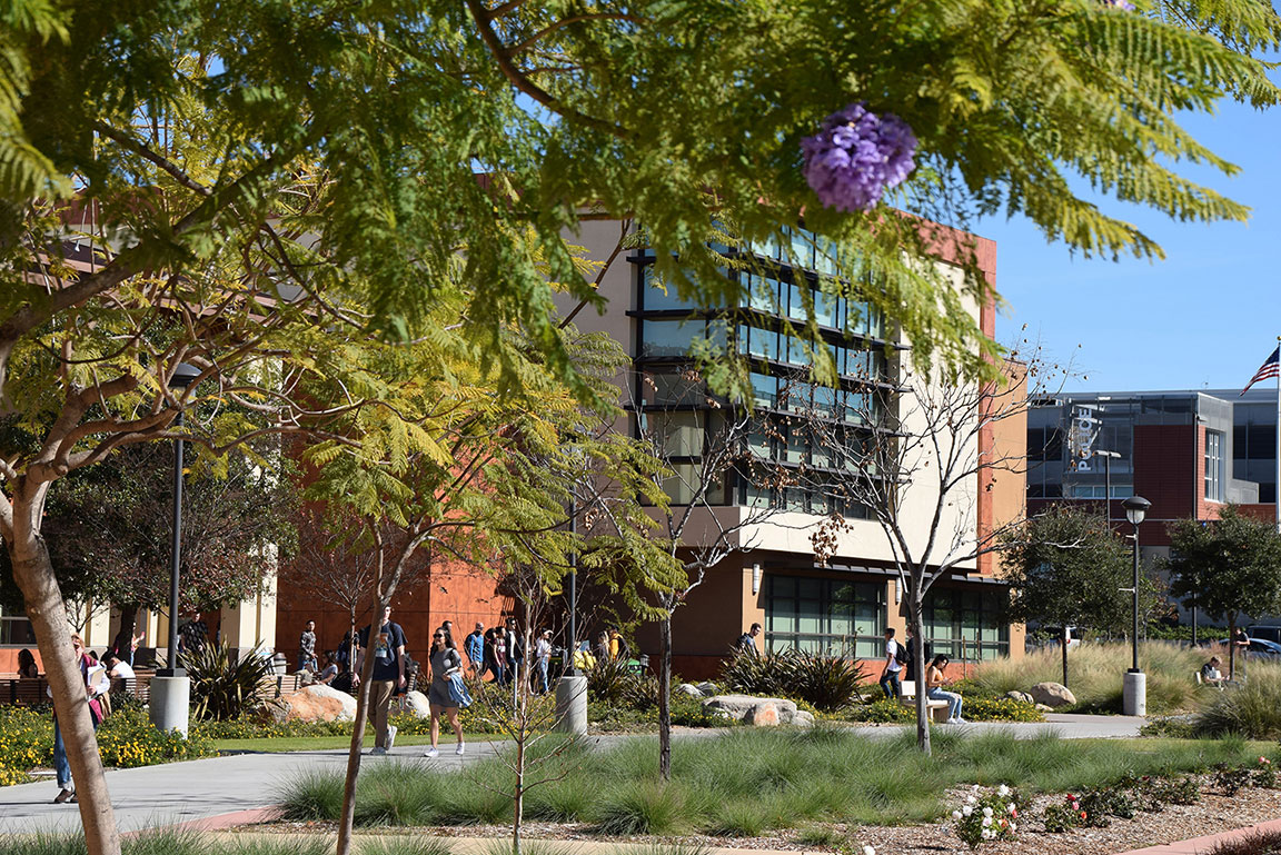 Miramar campus courtyard in bloom