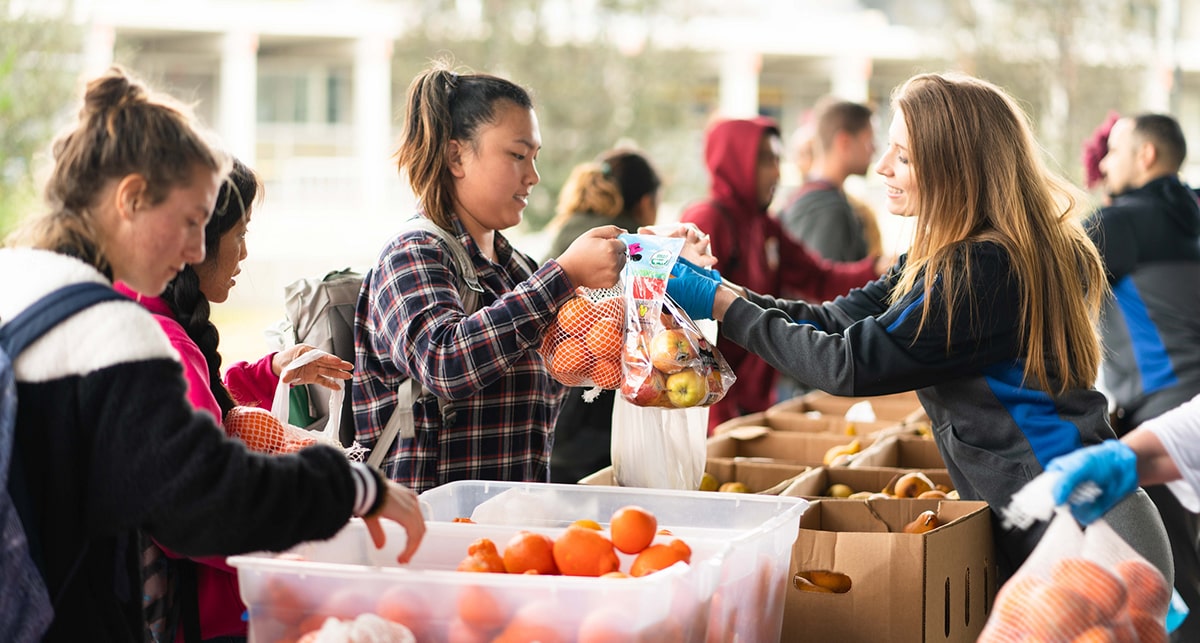 Mesa College Farmers Market