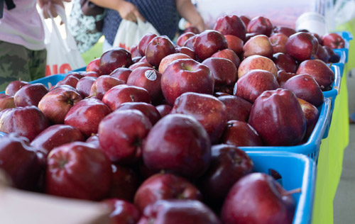 Apples at a Mesa College farmers market