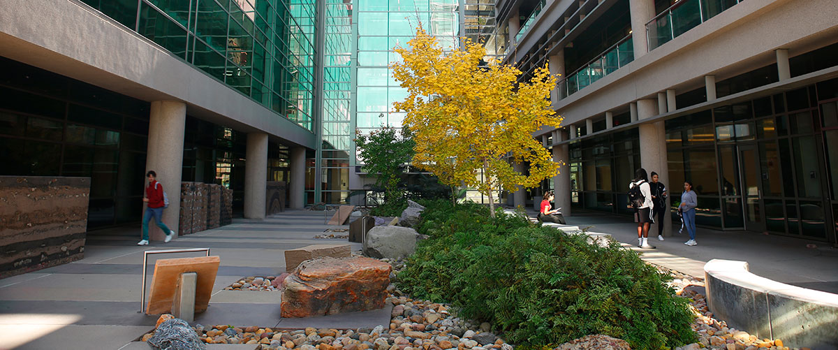 the landscape outside the math and science complex at mesa college