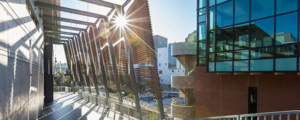 The sun reflects on a building at City College
