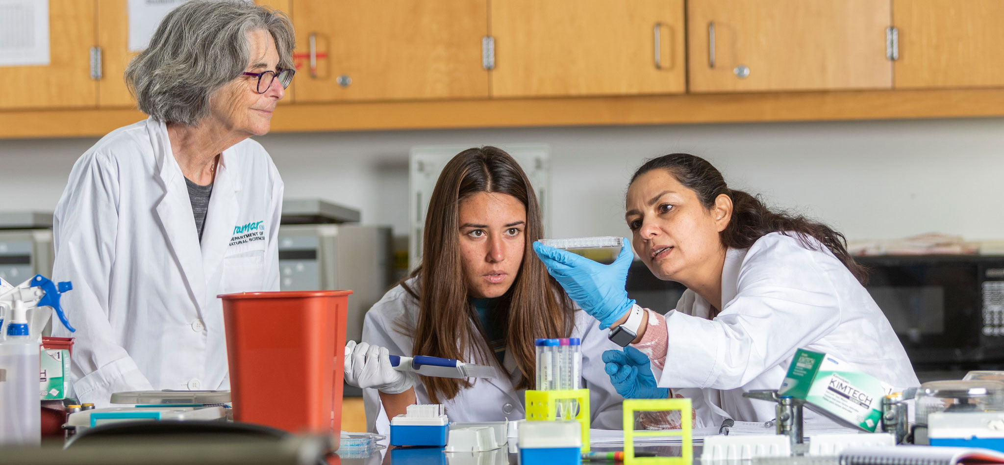 SDCCD colleges hiring 14 new full-time faculty members Featured Image