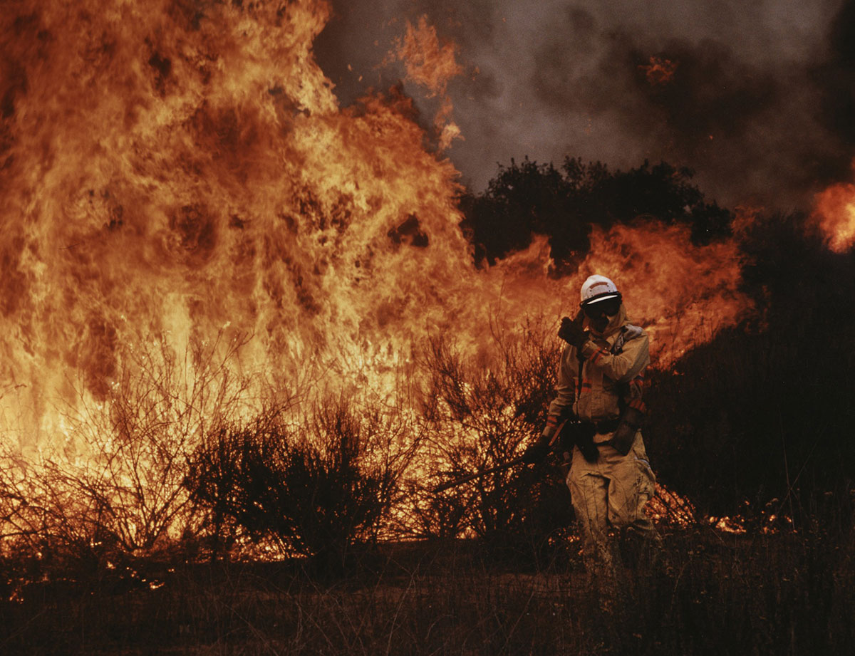 A firefighter in fire gear walks near flames taller than him from a large brush fire.