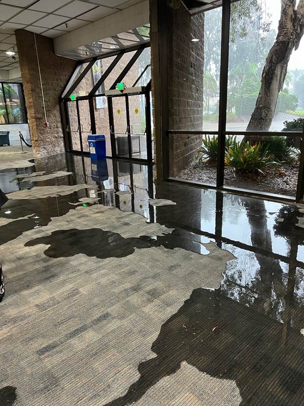 Damage at the Educational Cultural Complex shows water pooled up on the carpet on the ground floor near the entrance of the building.
