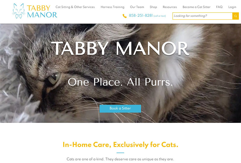 The homepage for the Tabby Manor website shows a close up of a cat. Text reads Tabby Manor One Place All Purrs