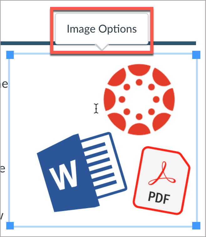 Submenu “Image Options” appears above highlighted image.