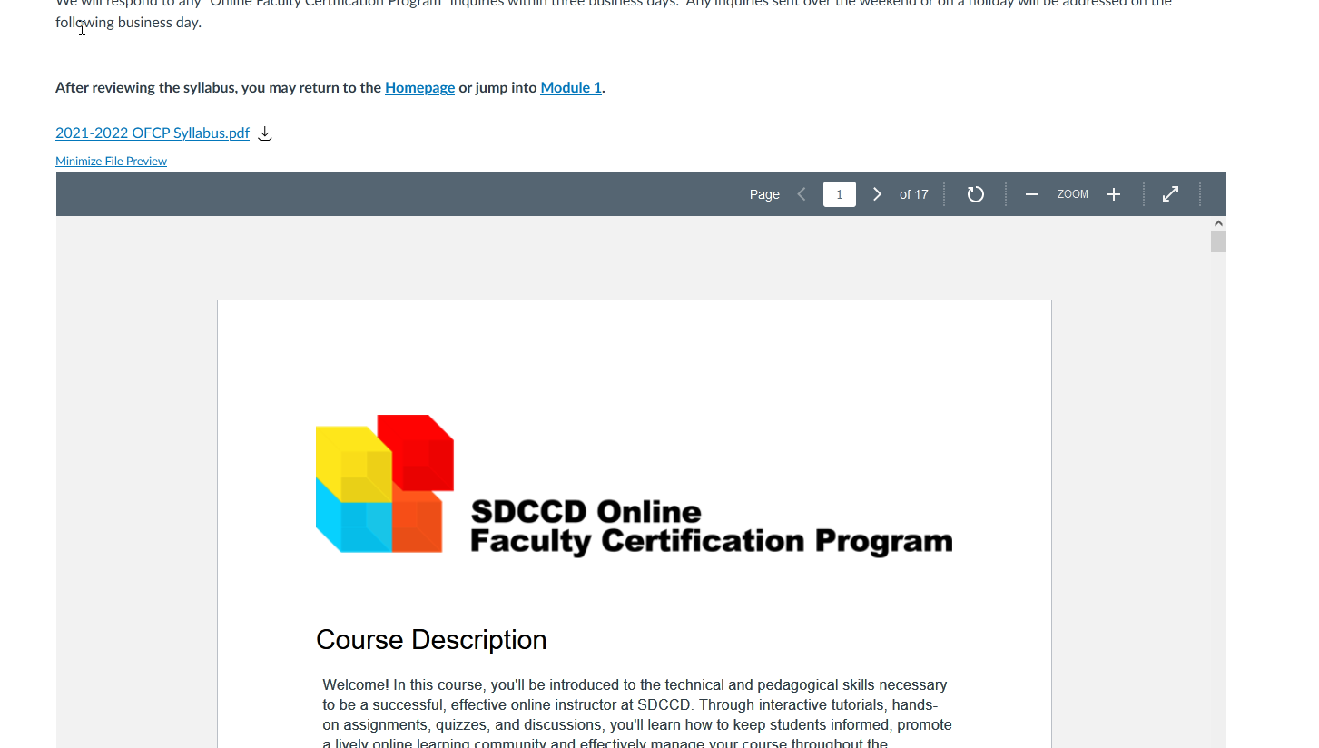 Screenshot of the Syllabus Document previewing automatically.