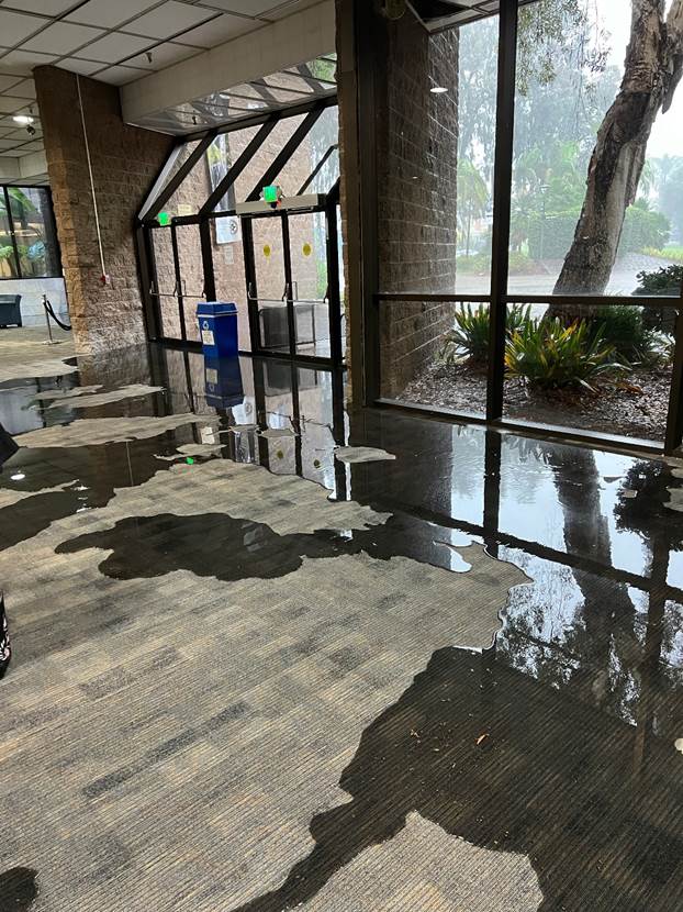 SDCCD recovering from impacts of historic winter storm