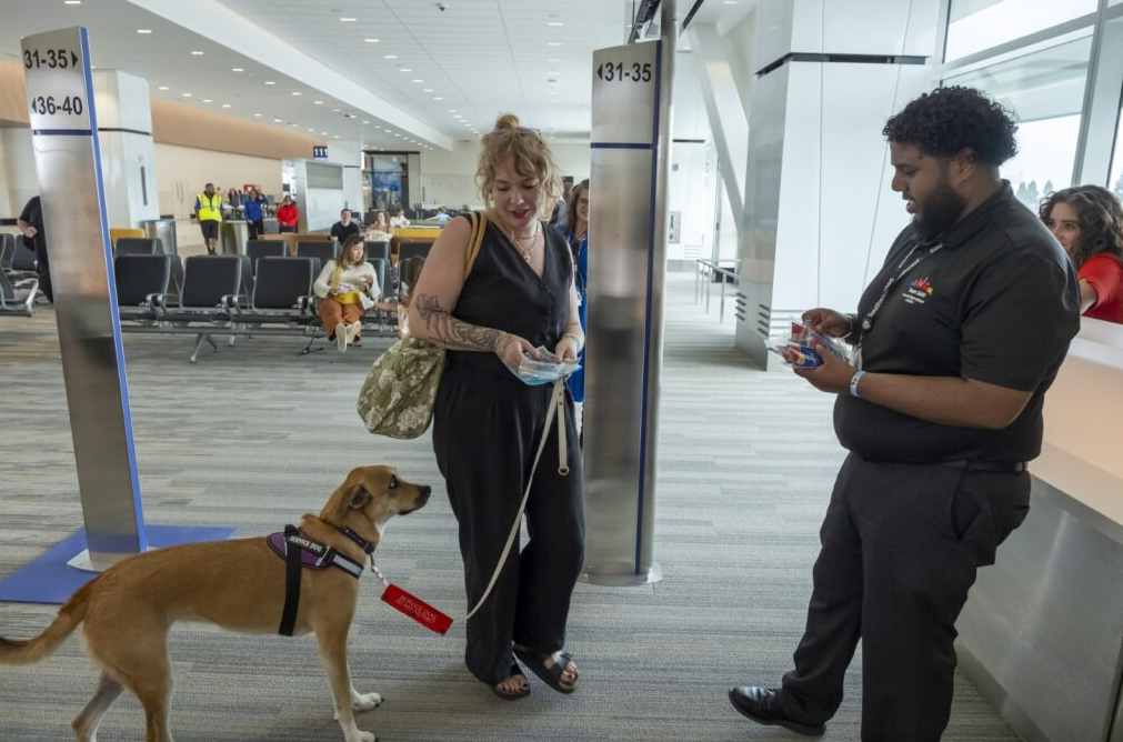 A woman at an airport gate with a support dog