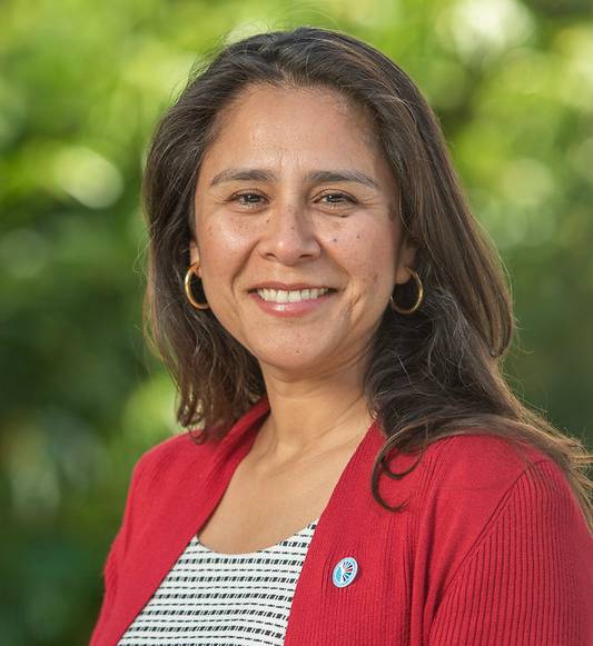 Geysil Arroyo re-elected president of the SDCCD governing board Featured Image