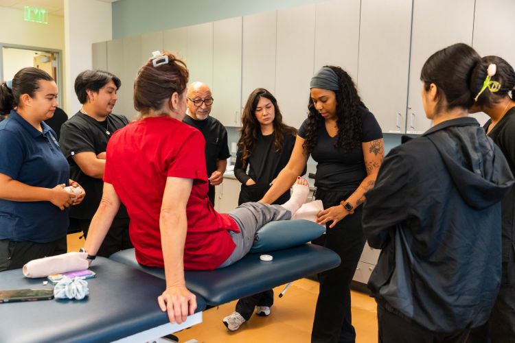 San Diego Mesa College to Launch Its Second Bachelor's Degree: Bachelor of Science in Physical Therapist Assistant Featured Image