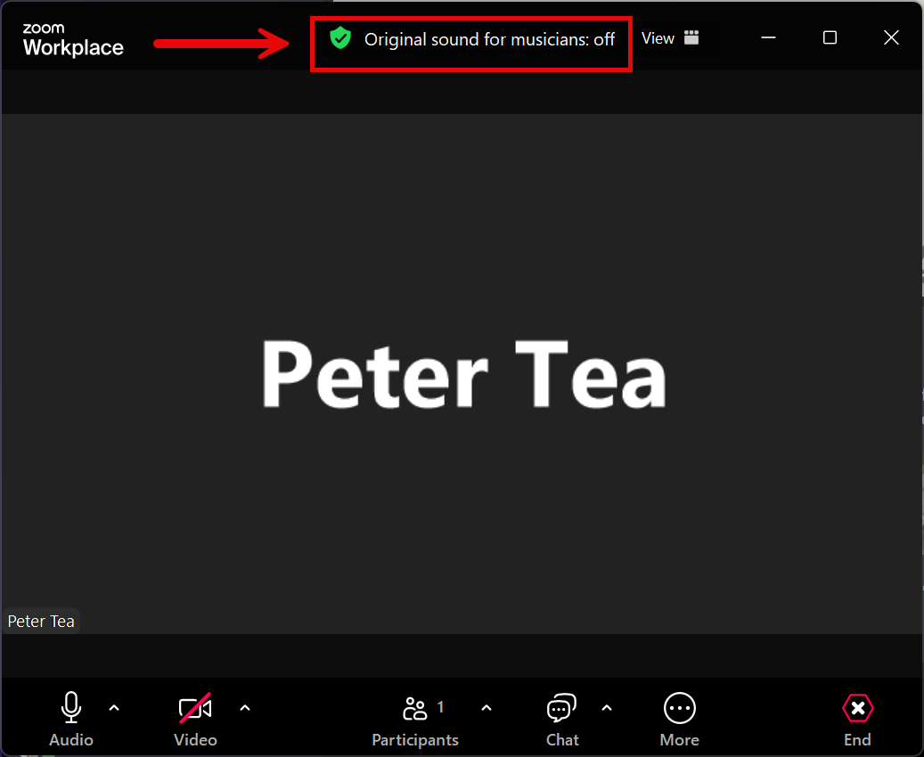 A screenshot of an active zoom call with an arrow pointing to the toggle to enable zoom audio profiles.