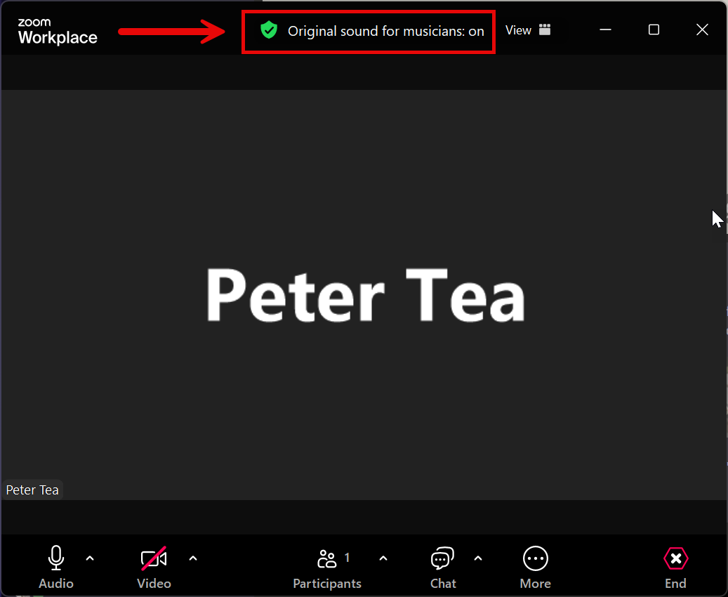 A screenshot pointing to the enabled Audio profile.