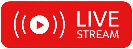 Video Stream