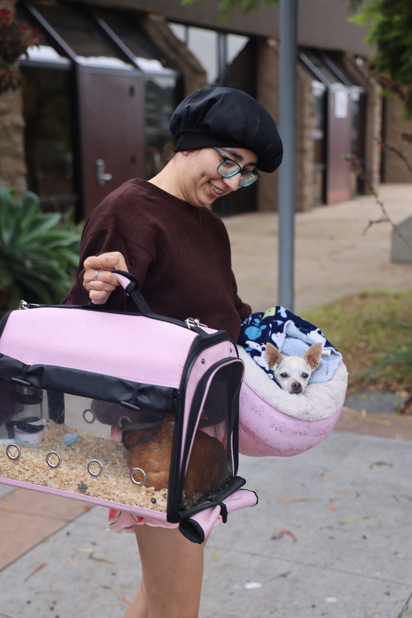 
A student holds a chicken in a pink carrier in one hand and a chihuahua in a pink bed in the other. 
