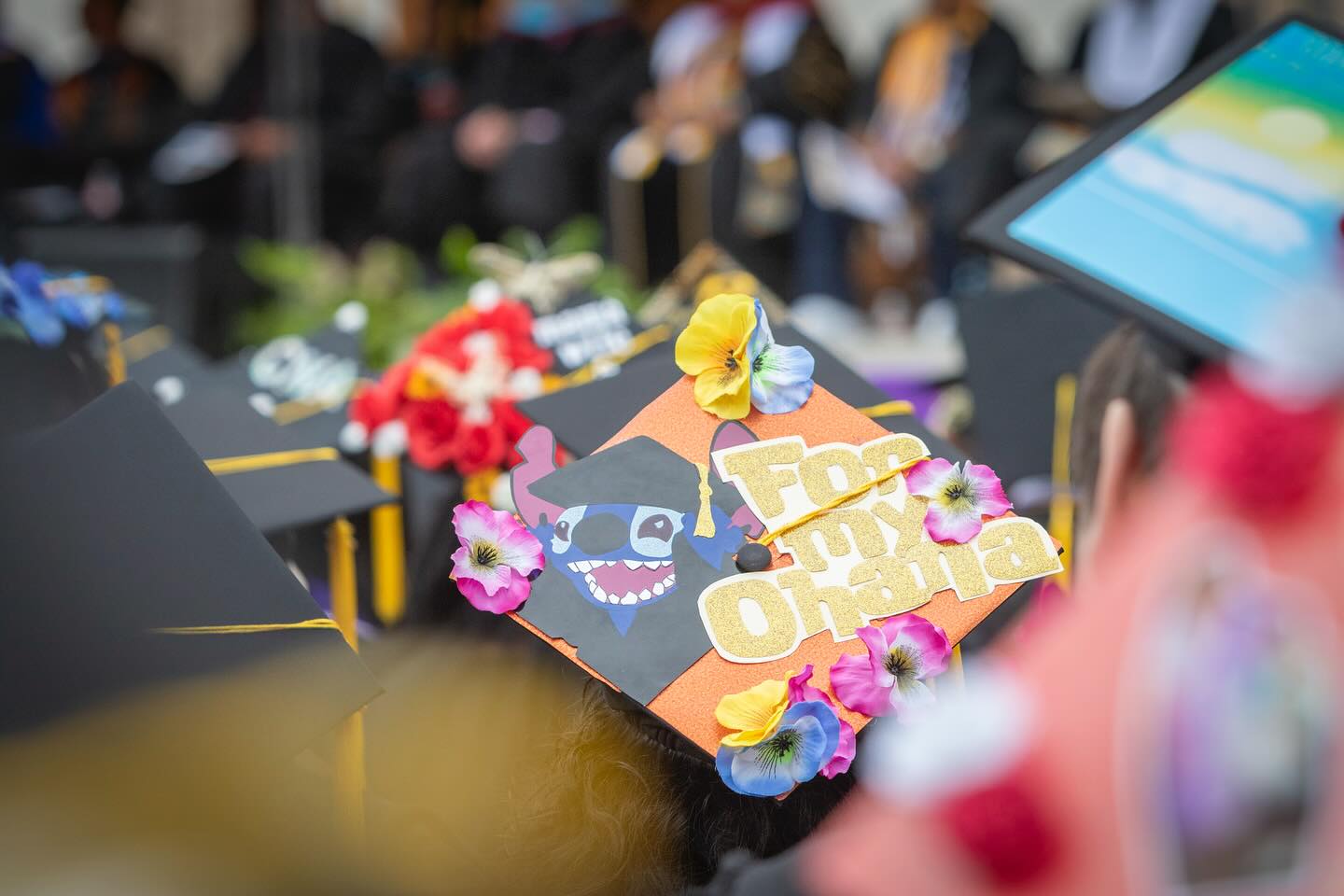 
A graduation cap that say for my ohana.
