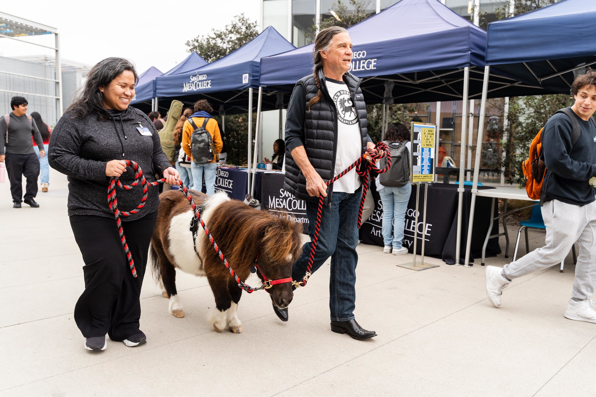 
Two people holding ropes and walking a tiny brown and white horse on Mesa campus.
