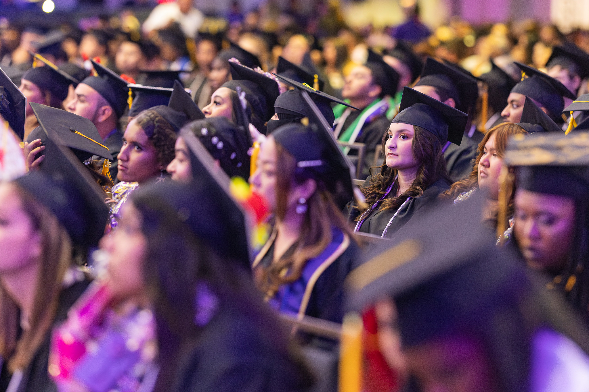 The audience at the ceremony.