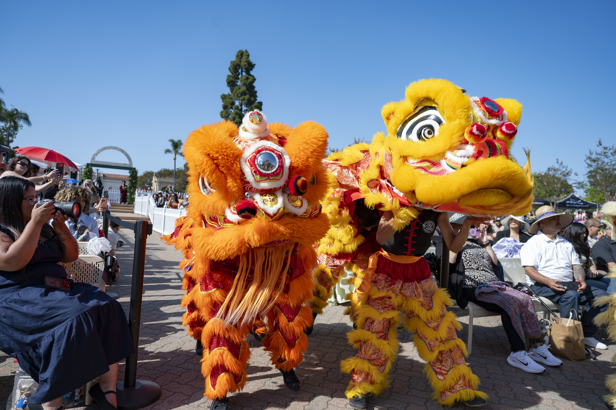 Yellow and orange Chinese dragons enter for a performance at commencement.&nbsp;