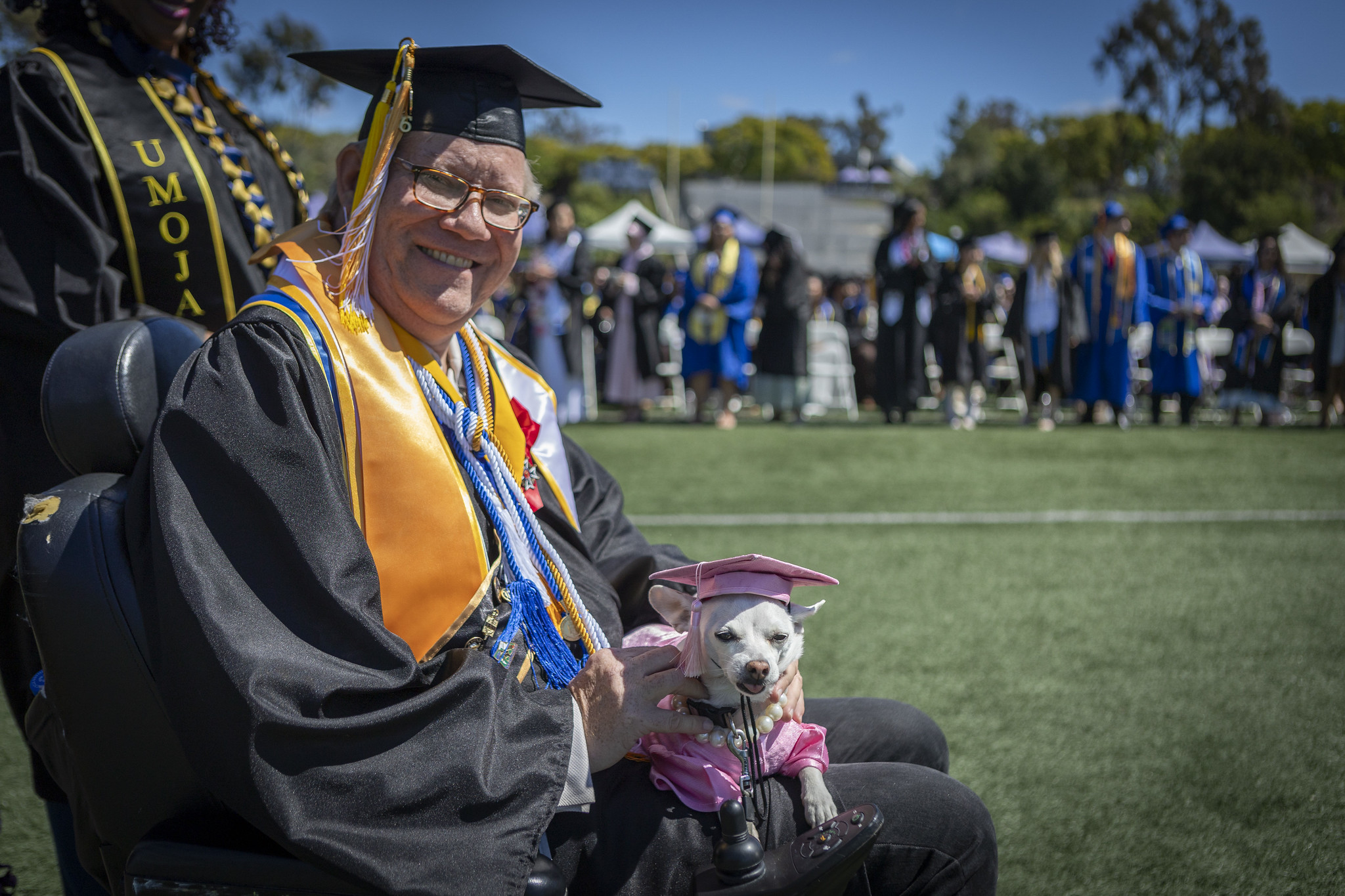 A graduate with a chihuahua in a pink cap and gown.&nbsp;