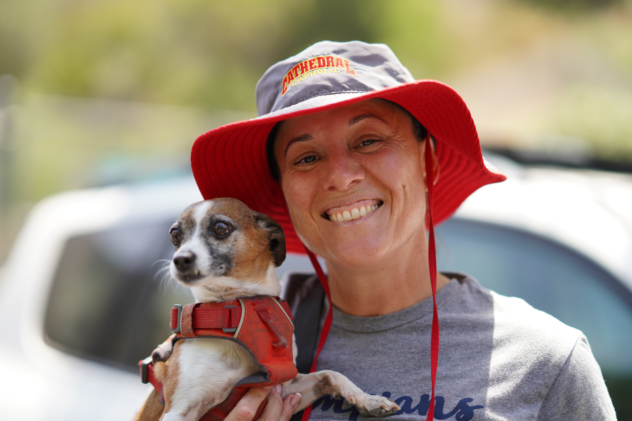 An employee with a brown and white chihuahua.