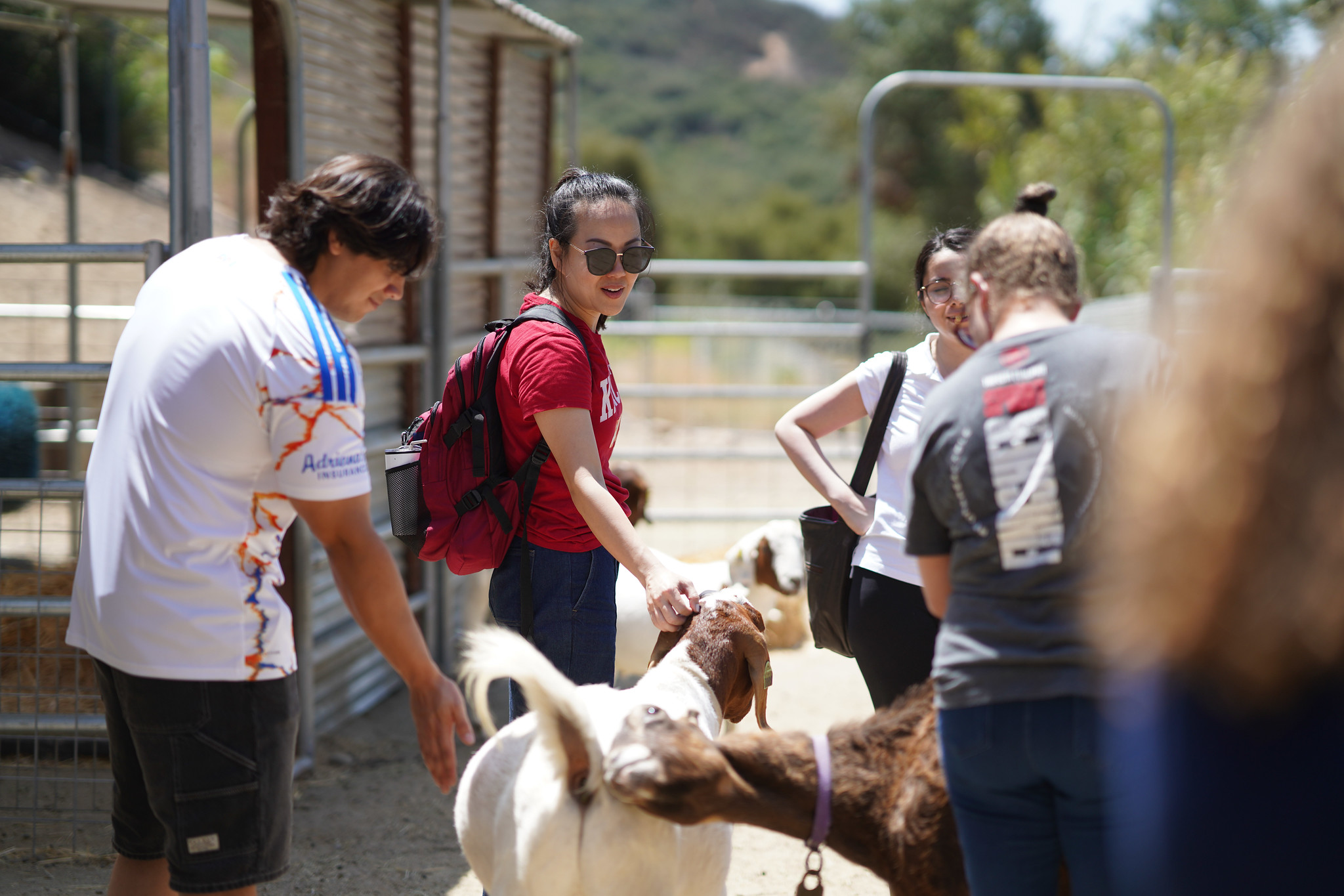 A group of Mesa employees pet goats at the veterenarian program area.&nbsp;